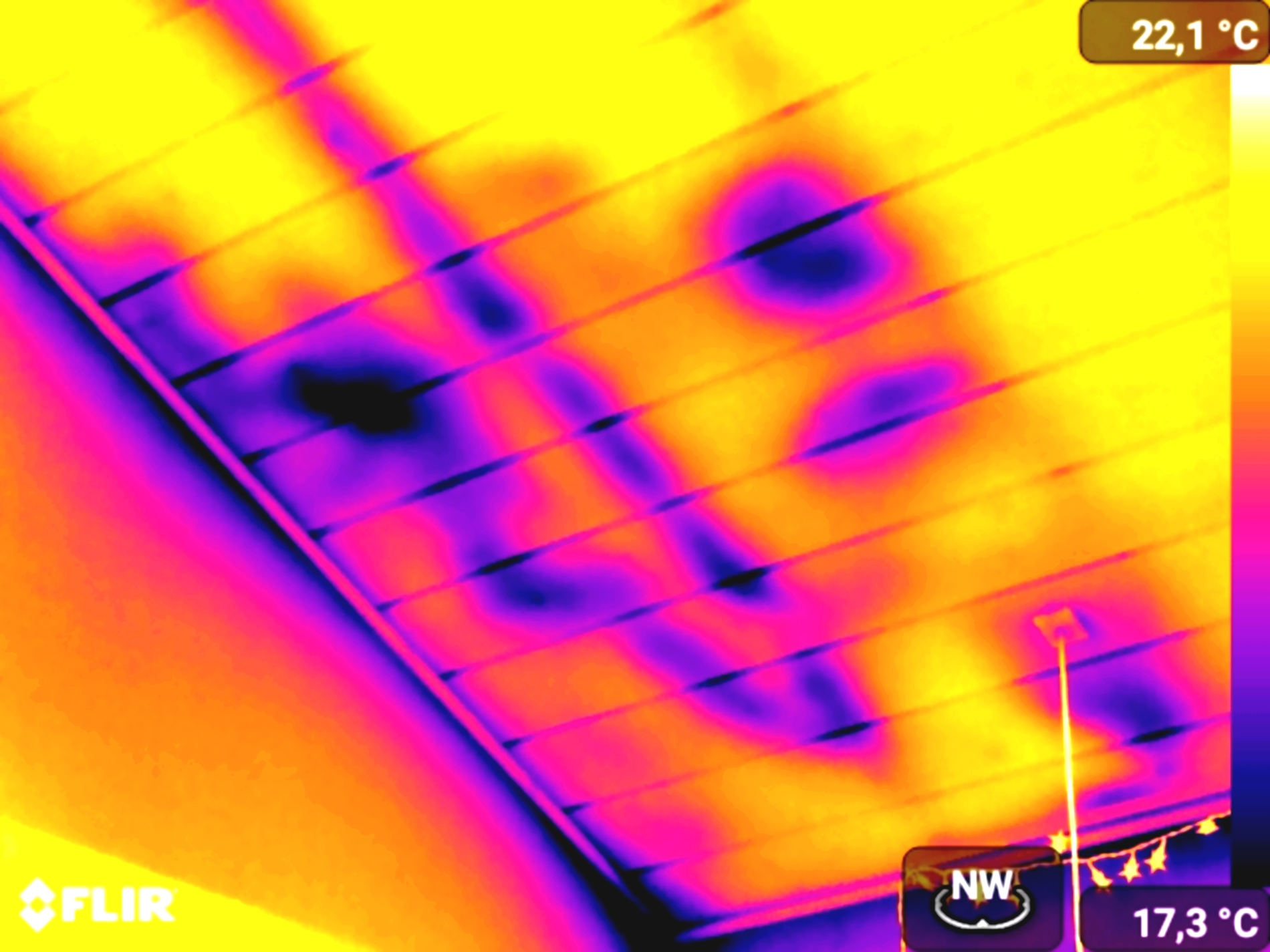 Skadedyr på loft  i kip.jpg (1)